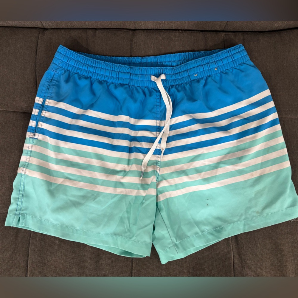 Men’s chubbies swim trunks